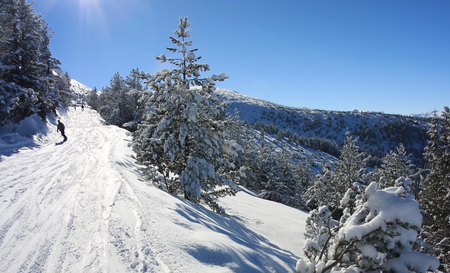 Borovets Gardens Apartments Eksteriør bilde